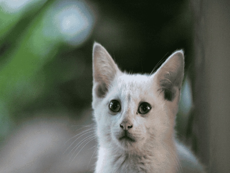 和IVF相关的费用，静脉采血试管色